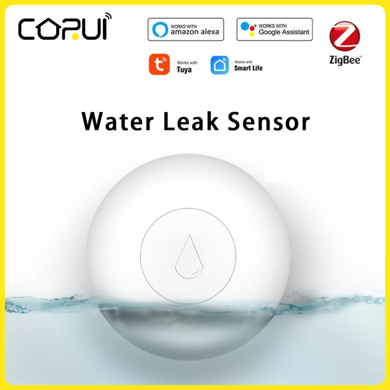 Wireless Water Sensor