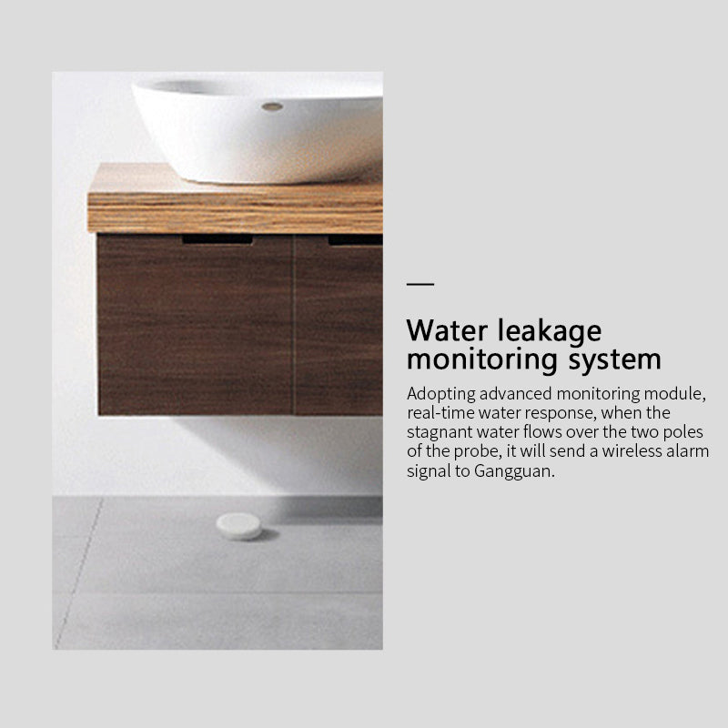 Wireless Water Sensor